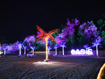 DSC_1360 (1)